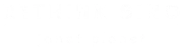 Janet Rethink Janet Planet – Jazz Singer
